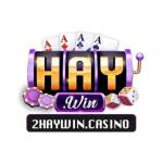 HAYWIN Profile Picture