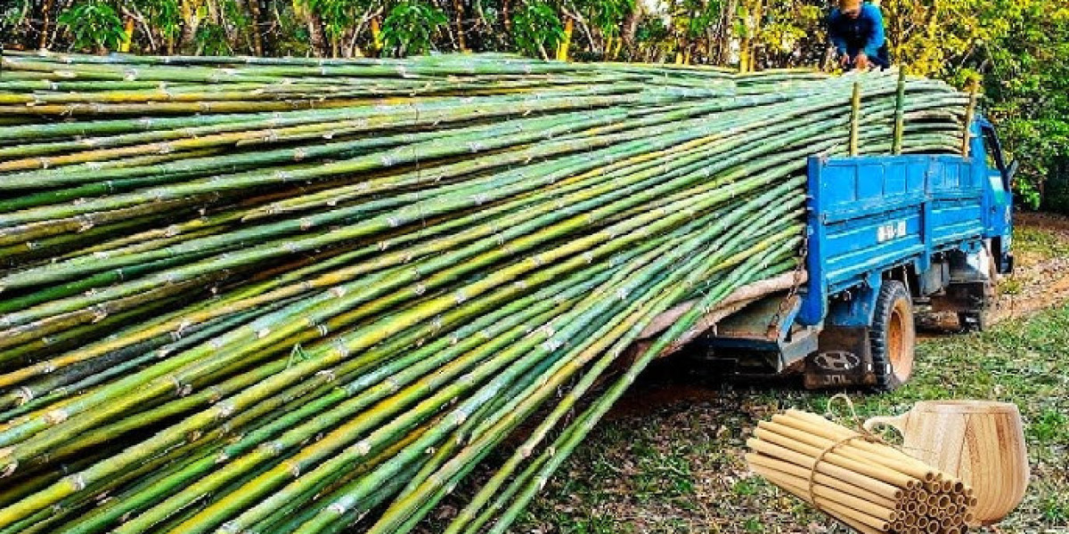 Sugar Cane Processing Plant Report | Setup Cost, Machinery and Raw Materials