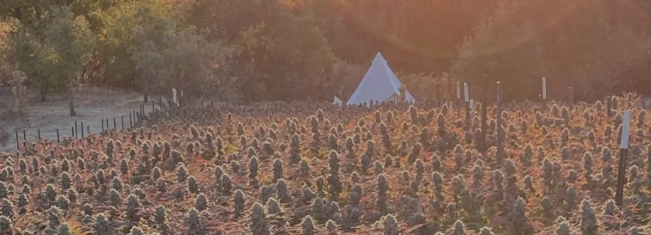 goldysflower Cover Image