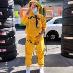 spider tracksuit Profile Picture