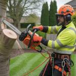 buildela 4 Profile Picture