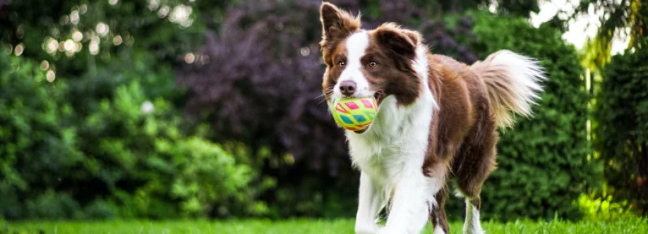 Fox Veterinary Services Cover Image