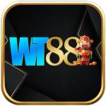 Wt88 vin Profile Picture