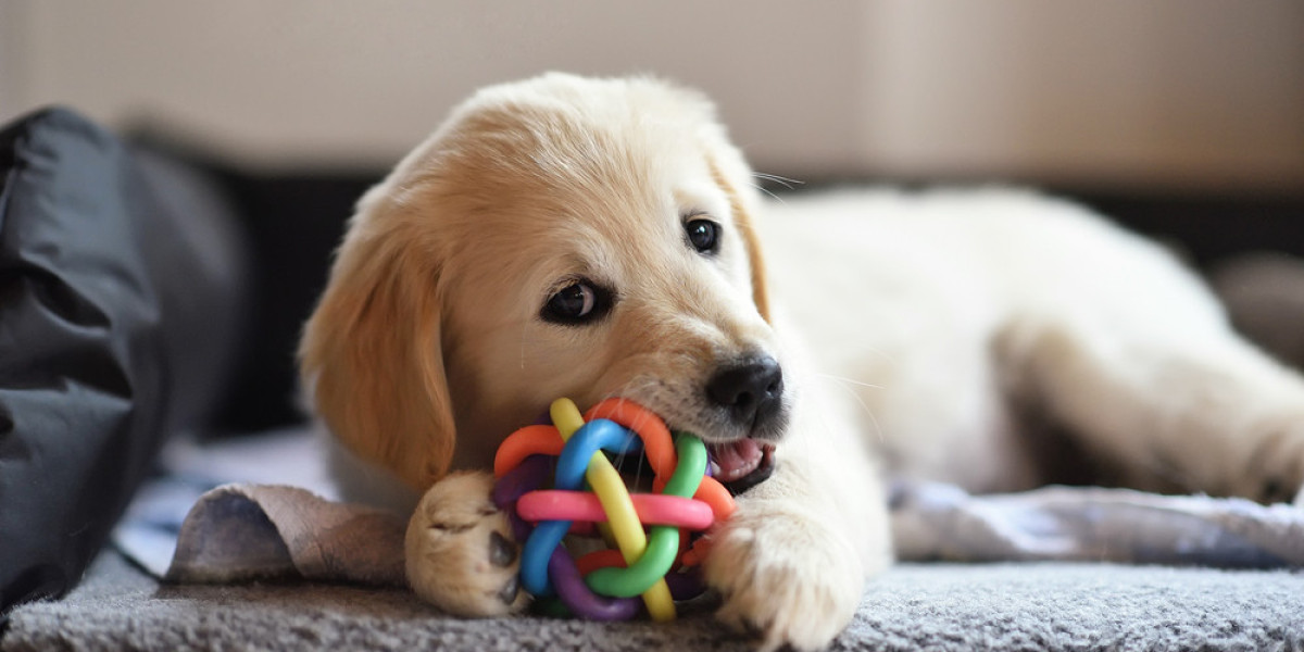 The Ultimate Guide to Choosing Safe and Fun Chew Dog Toys