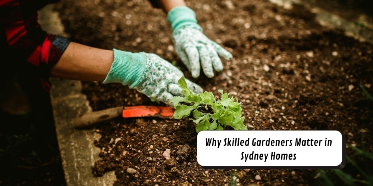 Why Skilled Gardeners Matter in Sydney Homes