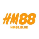 Hm88 blue Profile Picture