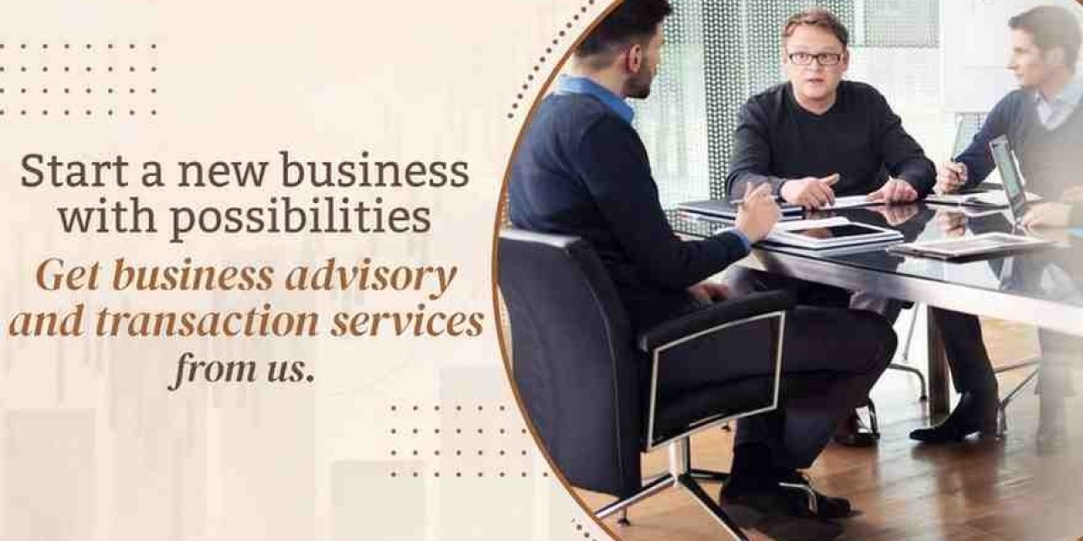 Income Tax Returns Demystified: A Beginner’s Roadmap to Filing Without Fear