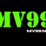 MV99NET Profile Picture