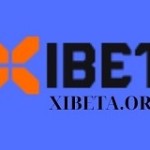 xibeta Profile Picture