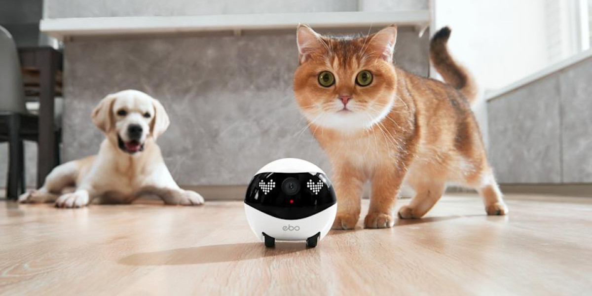 How Enabot Brings Joy and Safety to Your Pets at Home