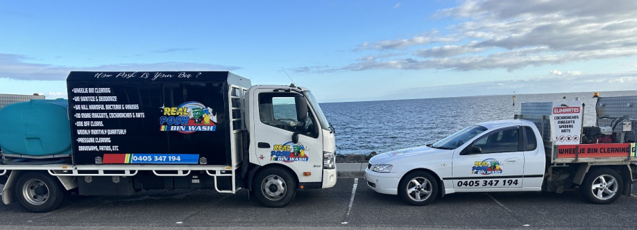 Real Posh Bin Wash Cover Image