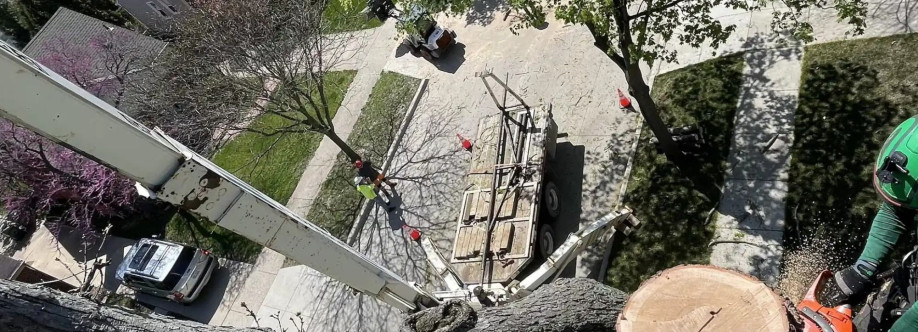 Tactical Trees Cover Image