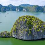 Saomai Cruises Profile Picture