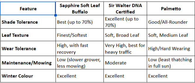 The Complete Guide to Choosing Buffalo Grass in Australia | by Carol Camilleri | Oct, 2025 | Medium