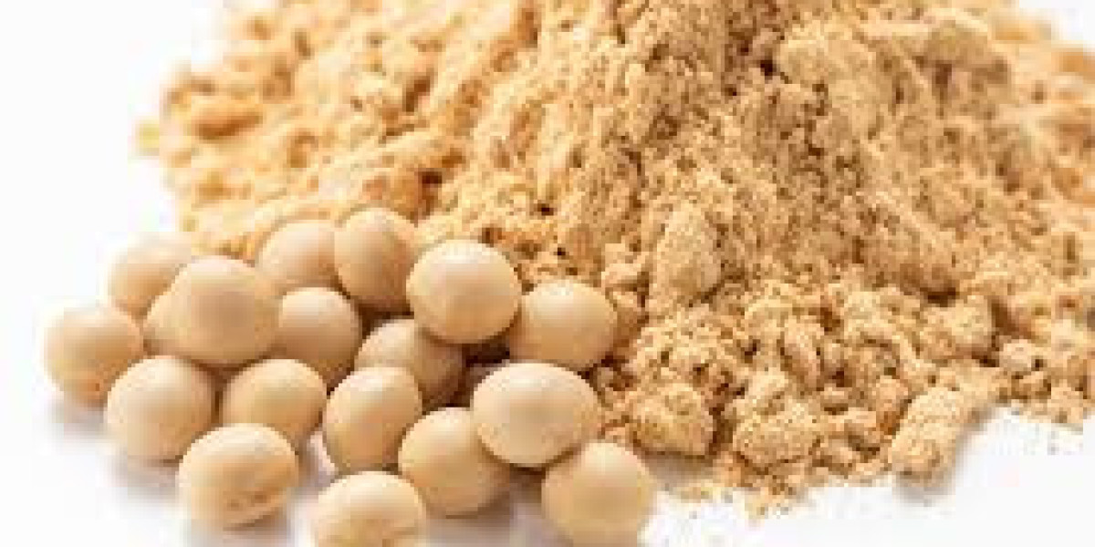 The Importance of Protein in Dairy Nutrition