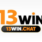 13Win Profile Picture