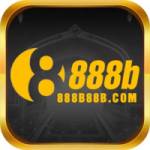 888b88b com Profile Picture