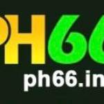 ph66 info Profile Picture