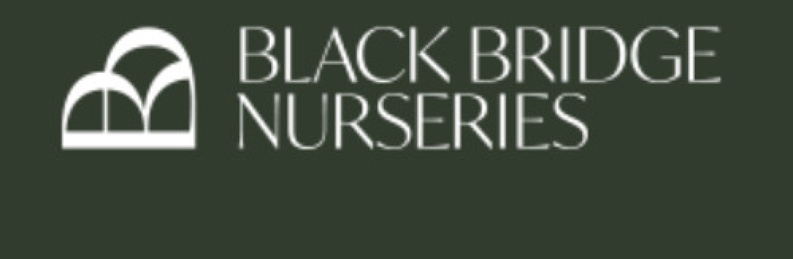 Black Bridge Big Tree Cover Image