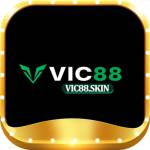 vic88skin Profile Picture