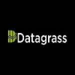 Data Grass Profile Picture