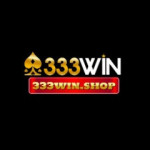 333WIn shop Profile Picture