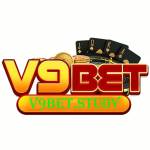 V9BET San choi casino ca cuoc Profile Picture