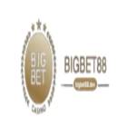 Bigbet88 dev Profile Picture