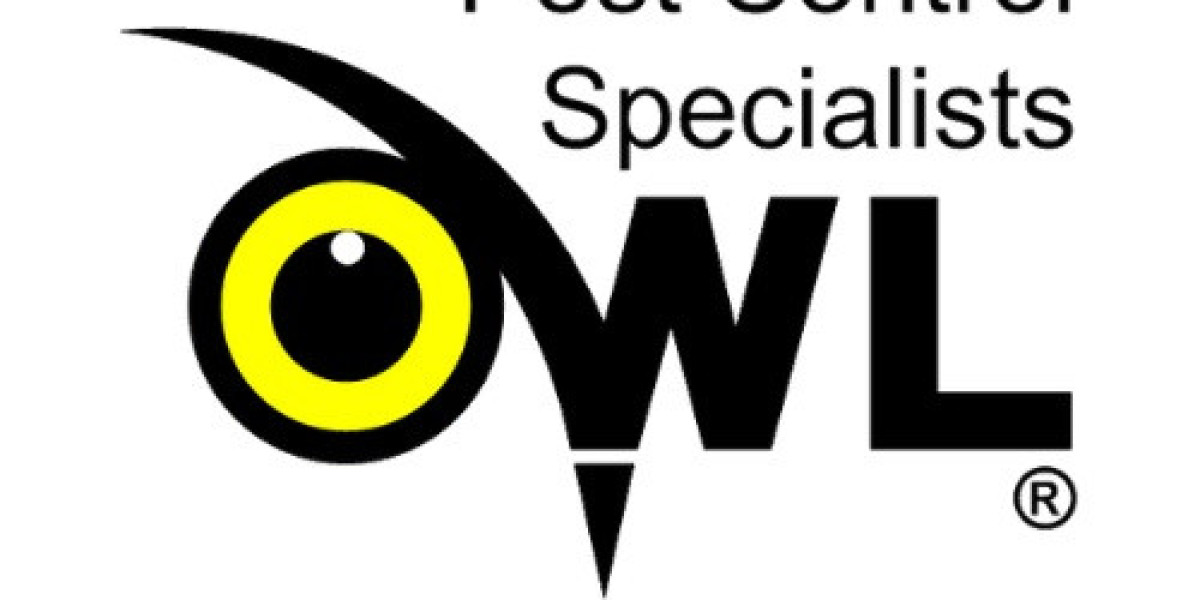 Pest Control Dublin Expert Solutions