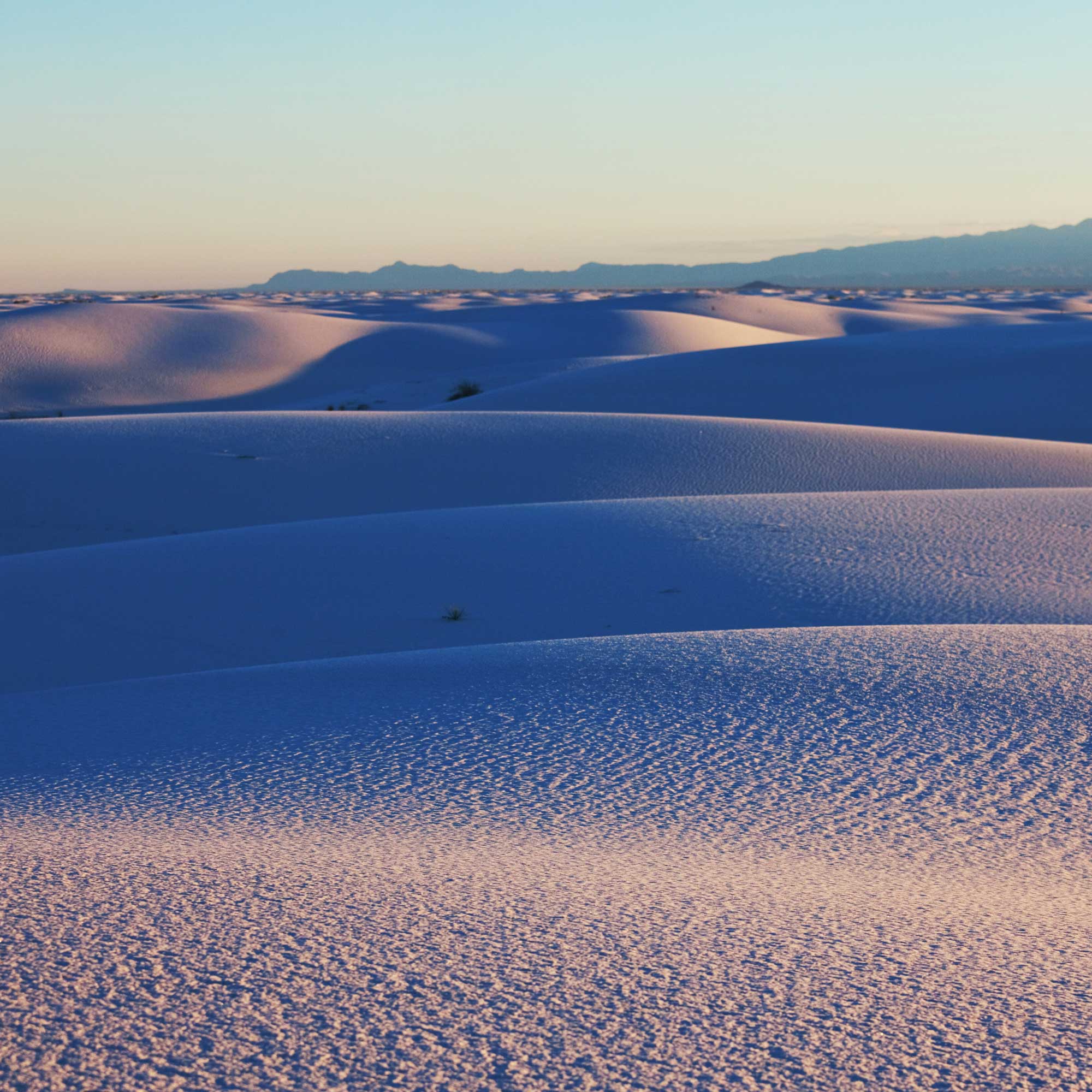 Cross-Border Investment Trends by Newman George Leech | The newmangeorgeleech01's Podcast