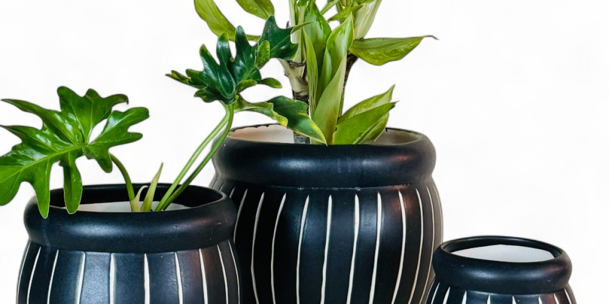 Elevate Your Home with Exquisite Ceramic Creations: From Hanging Bird Houses to Elegant Tableware