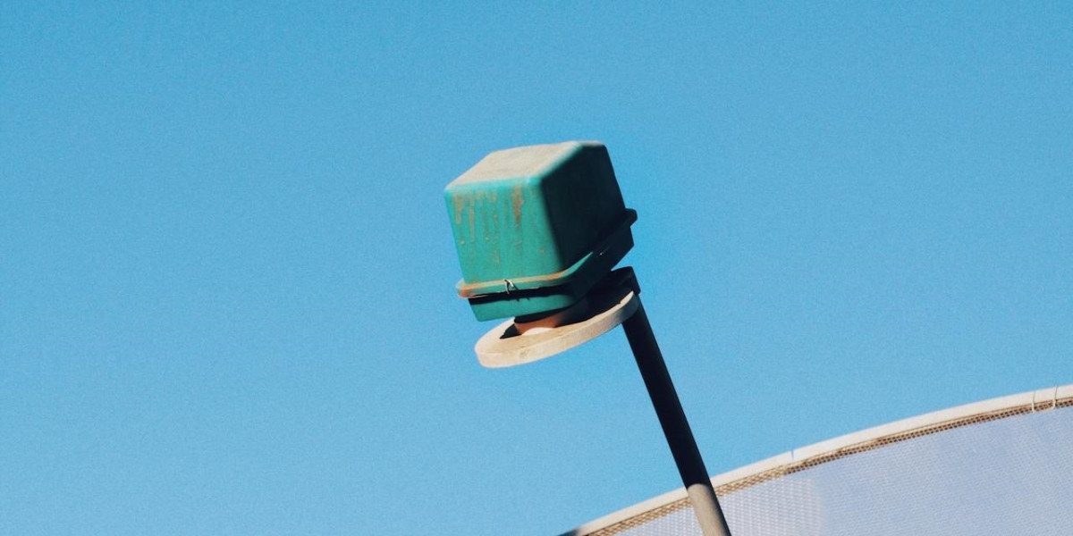 Global Expansion and Excellence: The Rise of Mimosa Distribution Across Regions