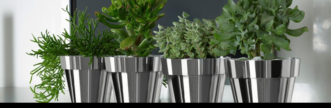 Hydroponika Cover Image