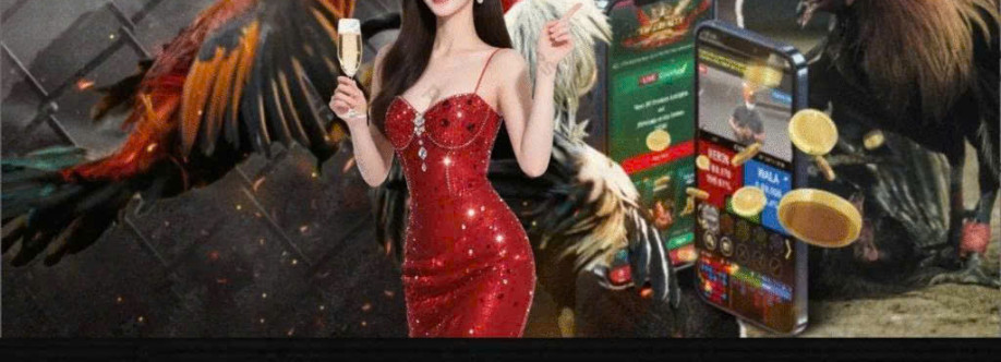 Bồ Gà TONHON Cover Image