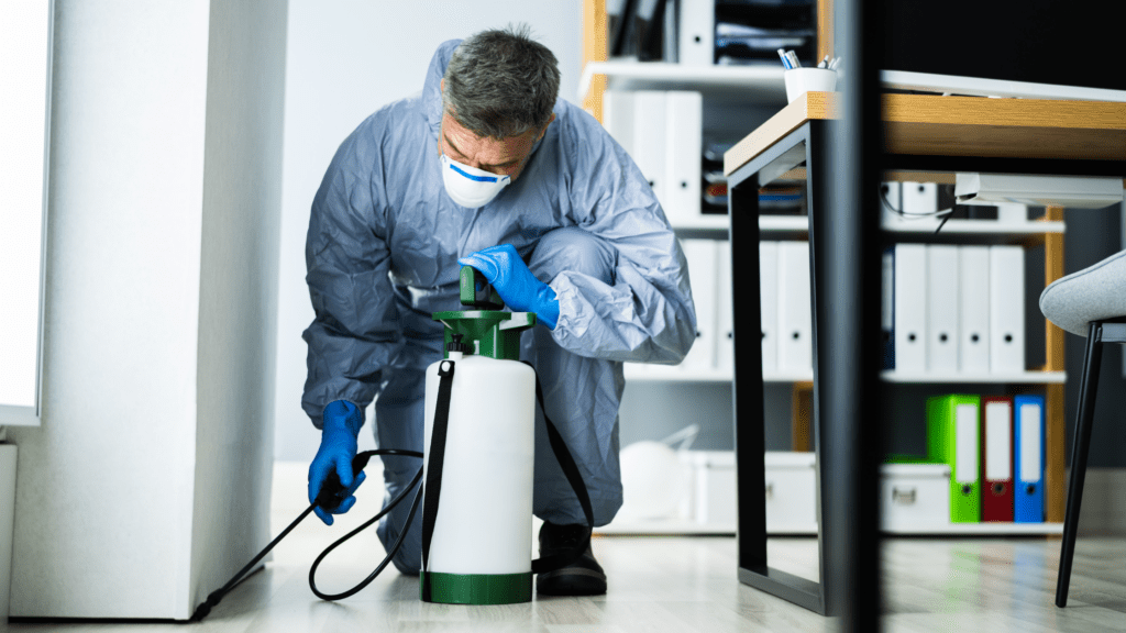 Pest Services in Kansas City Smithereen What’s Actually Included in Pest Services in Kansas City?