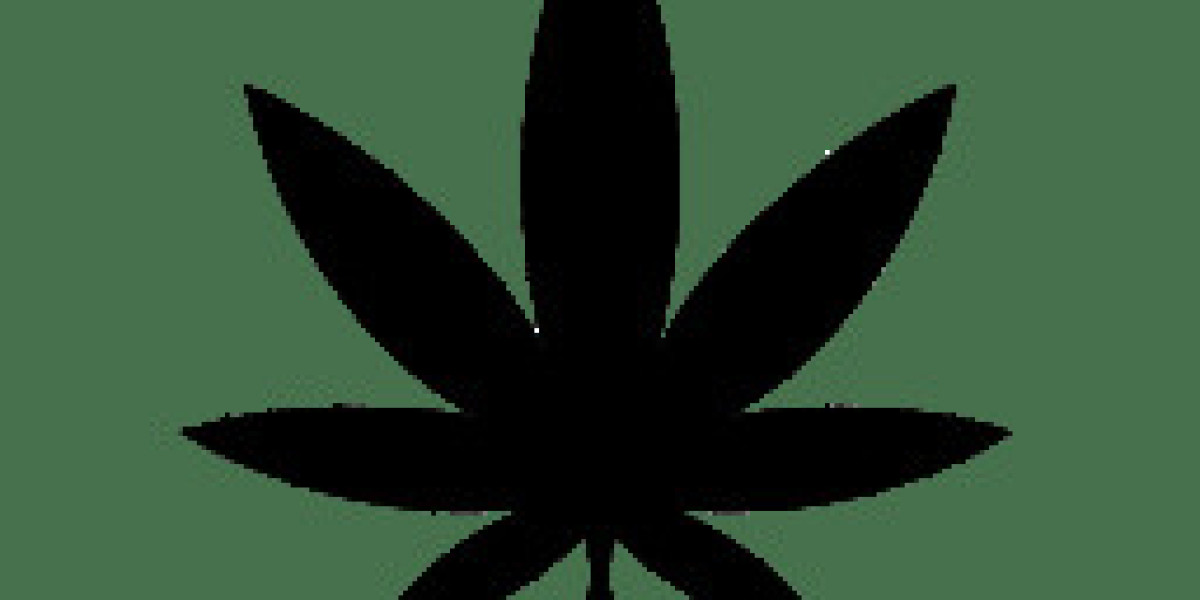 Autoflowering Cannabis Seeds: A Simple Guide to Fast-Growing Weed