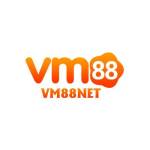 vm88netcom Profile Picture