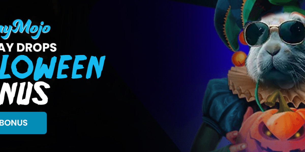 Playmojo: The Canadian Wave of Digital Fun, Creativity, and Rewarding Experiences