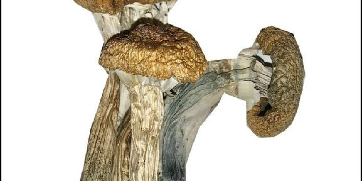 Explore the Intersection of Science and Spirituality with Our Top-Tier Psychedelic Chemicals – LSD for Sale Online