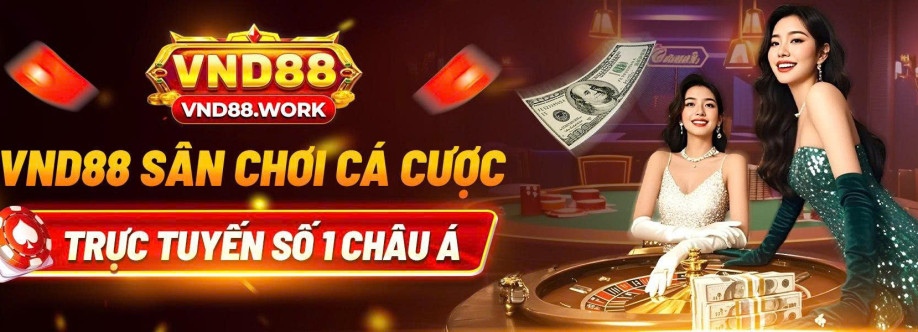 VND88 work Cover Image