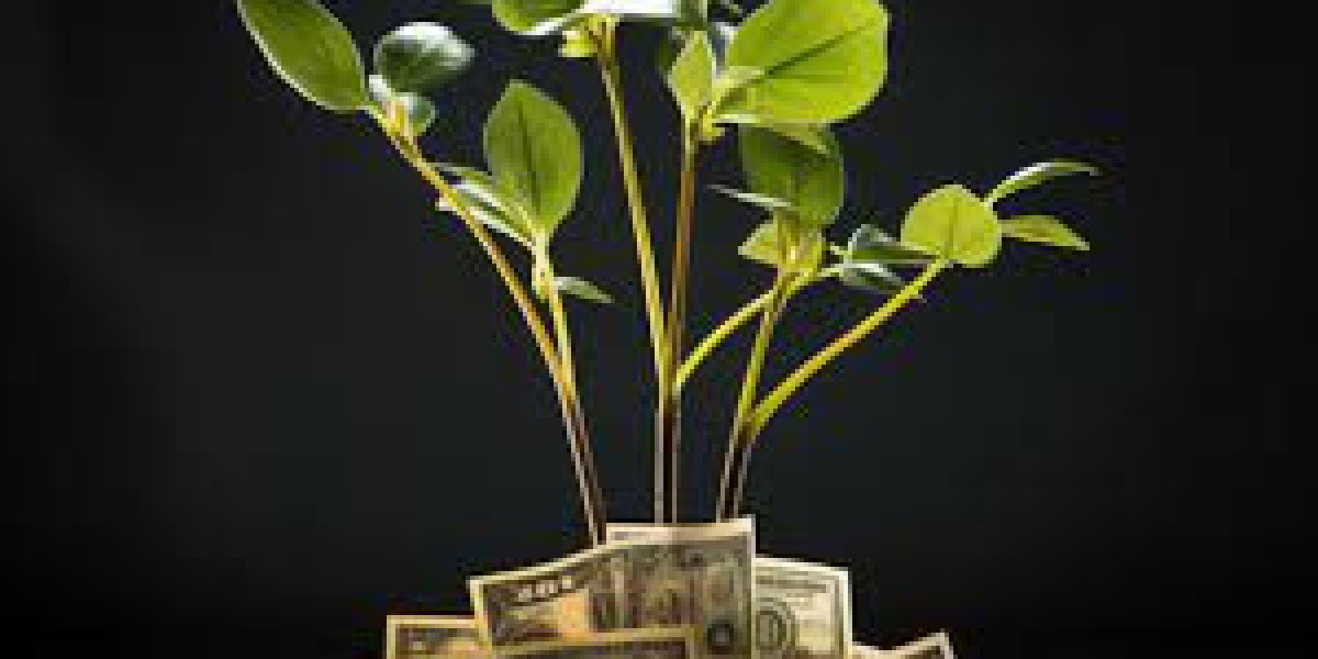 Wallstreetlist – Unlock Direct Access To High-Value Investors With Premium Investor Email Lists