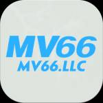 MV66 LLC Profile Picture