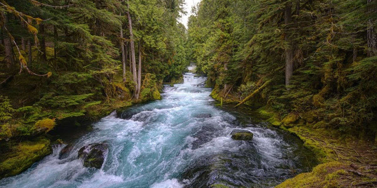 Discover the Best Cheap Flights to Salem, Oregon and Explore This Pacific Northwest Gem