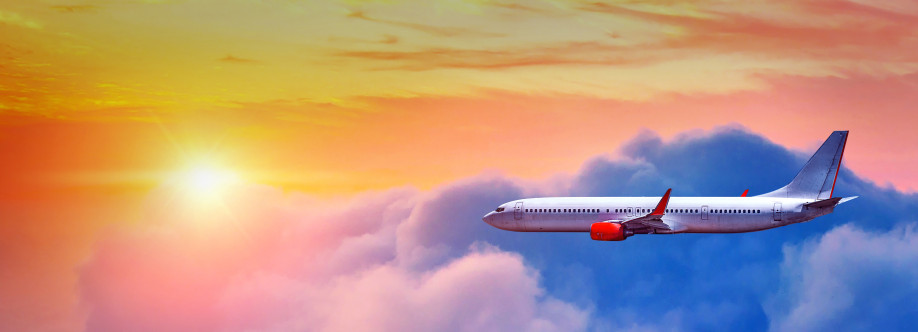 The Jersey Flight Cover Image