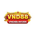 VND88 work Profile Picture