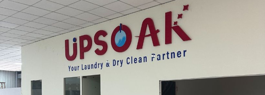 upsoakdryclean Cover Image