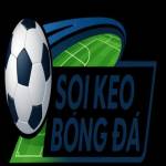Soikeobongda07 net Profile Picture