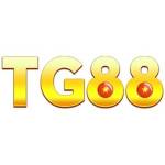 TG88 yachts Profile Picture