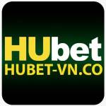hubetvnco Profile Picture