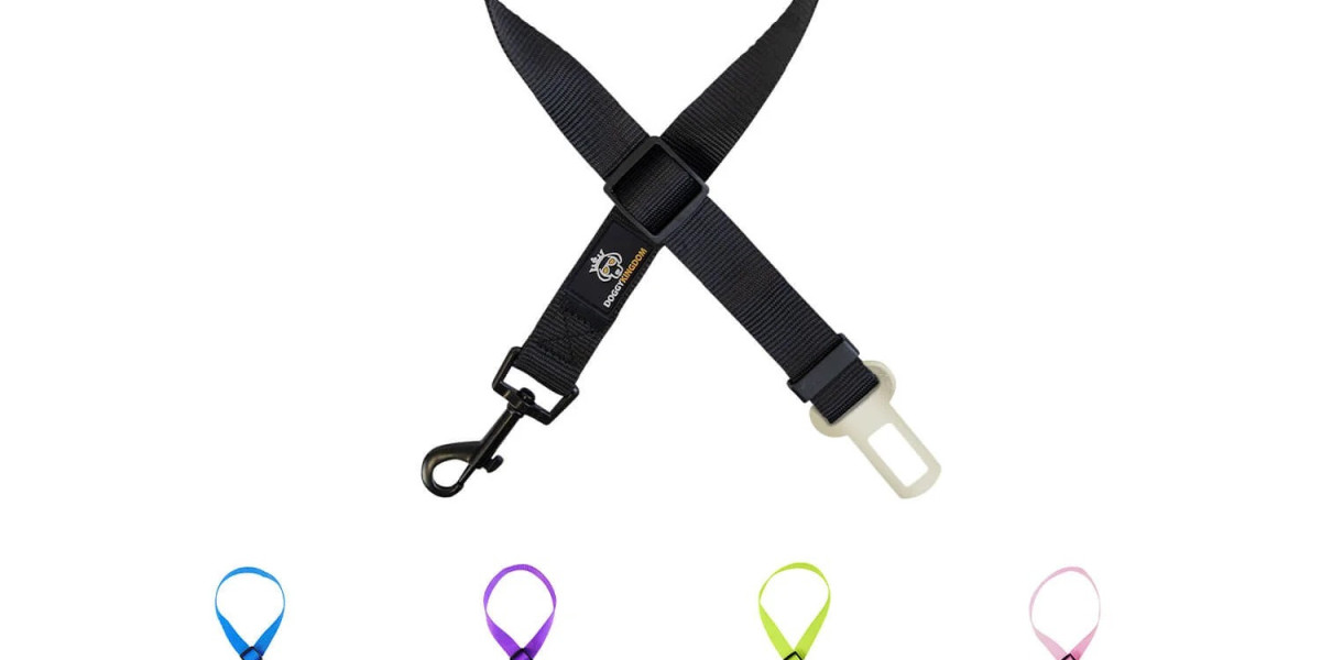 Smart Solutions for Safer Walks: Harnesses, Collars, and Travel Accessories